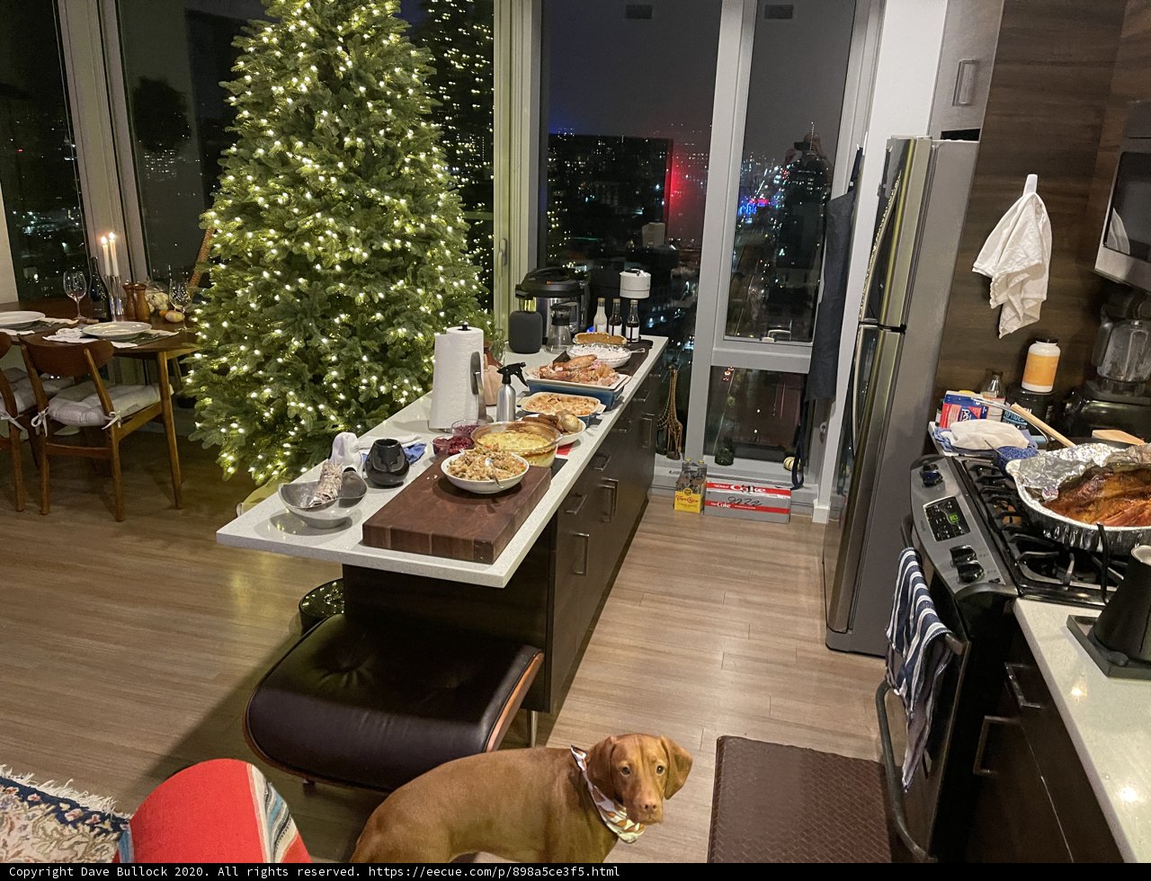 Home for the Holidays