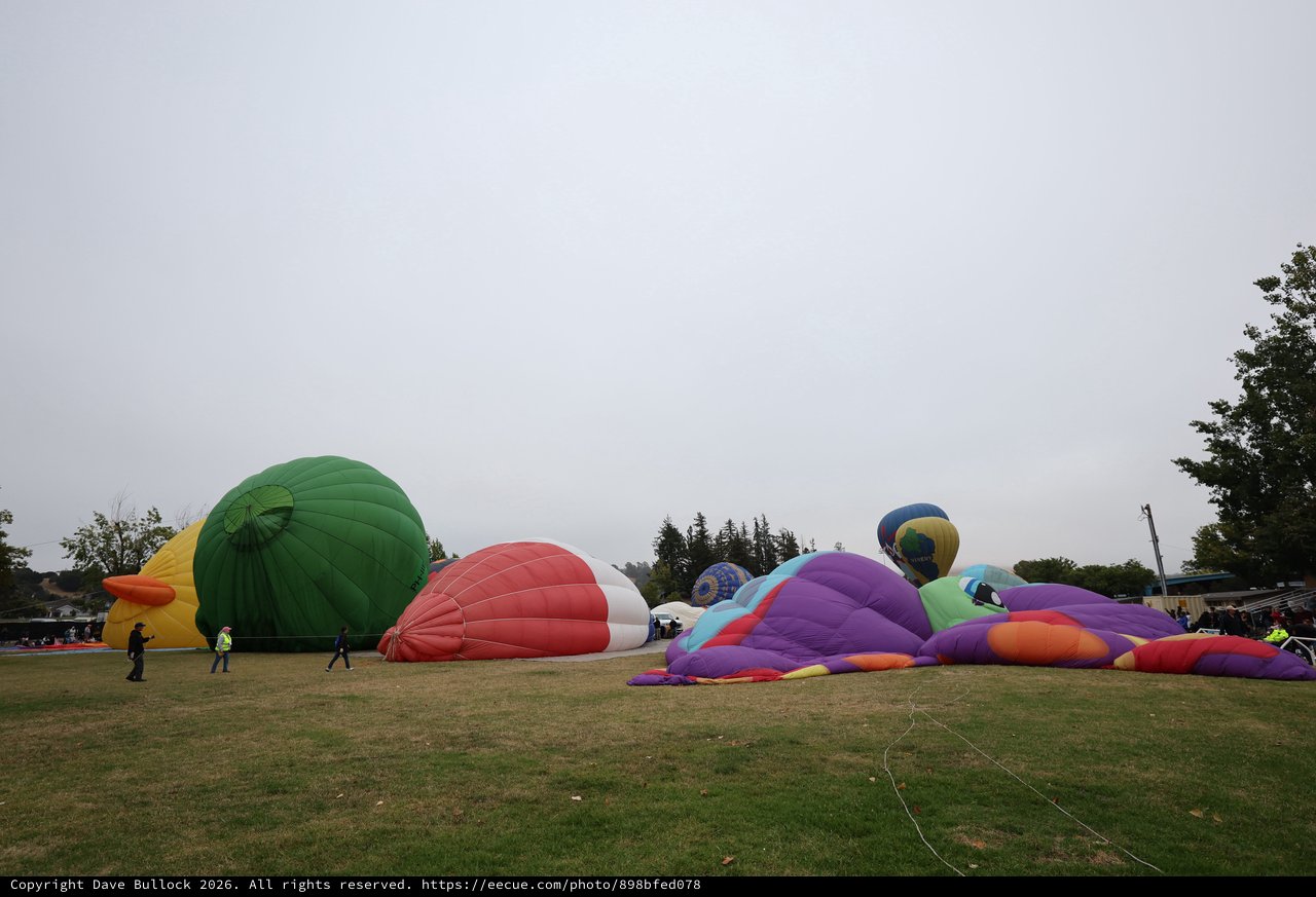 Hot Air Balloons Inflating at Sonoma County Classic