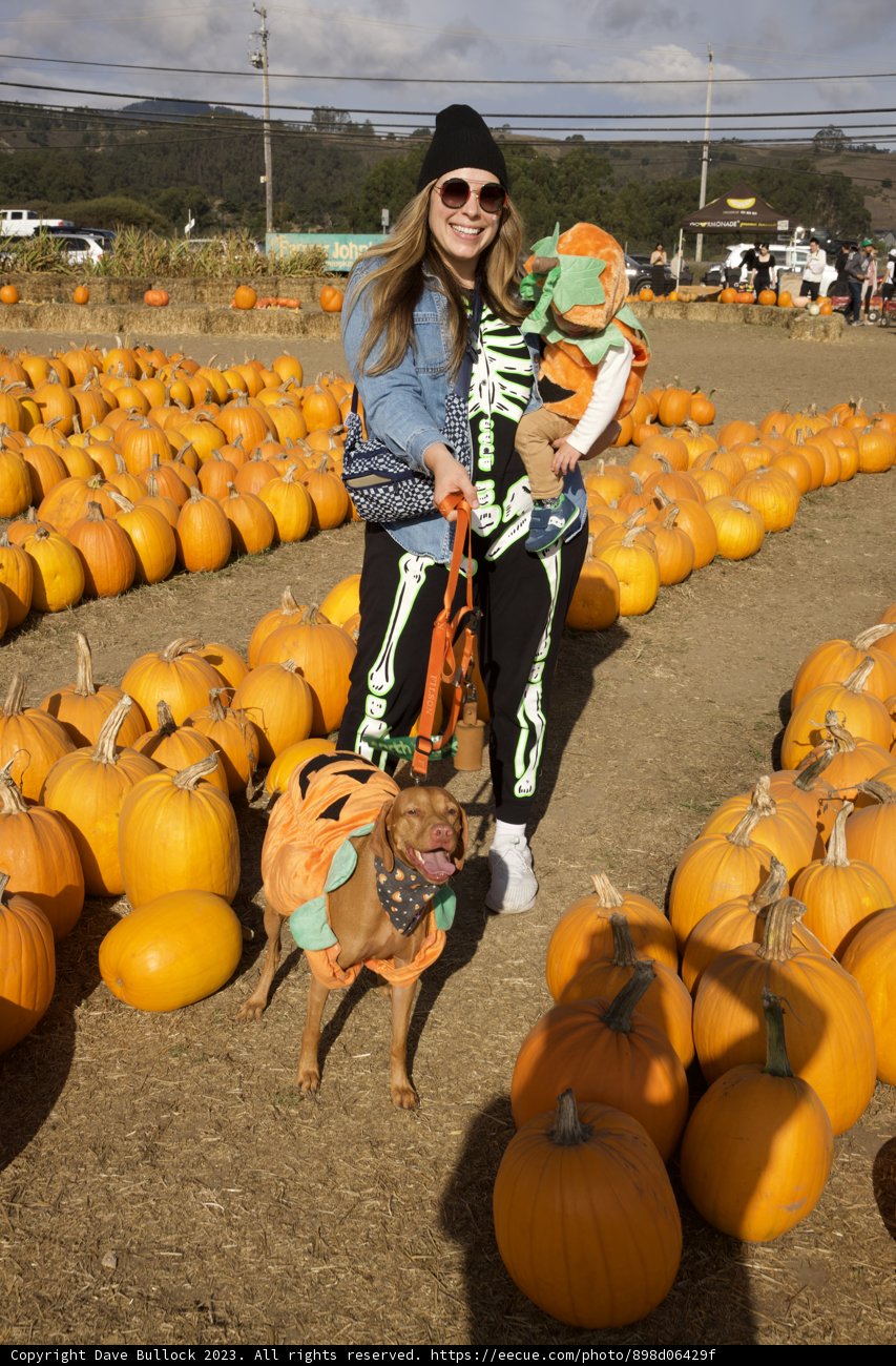 Enchanting Autumn Day at Halfmoon Bay: Lori and Her Canine Companion