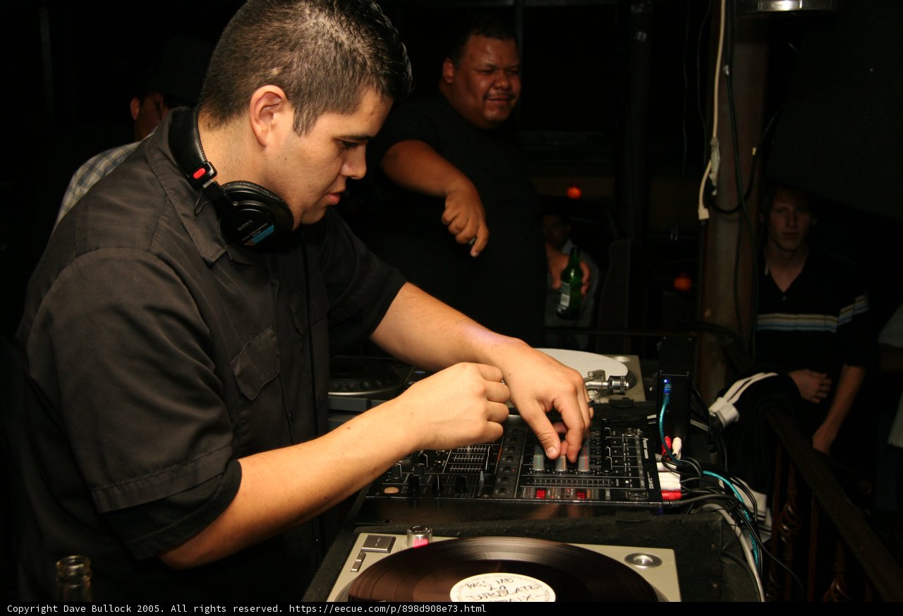 The DJ at Work