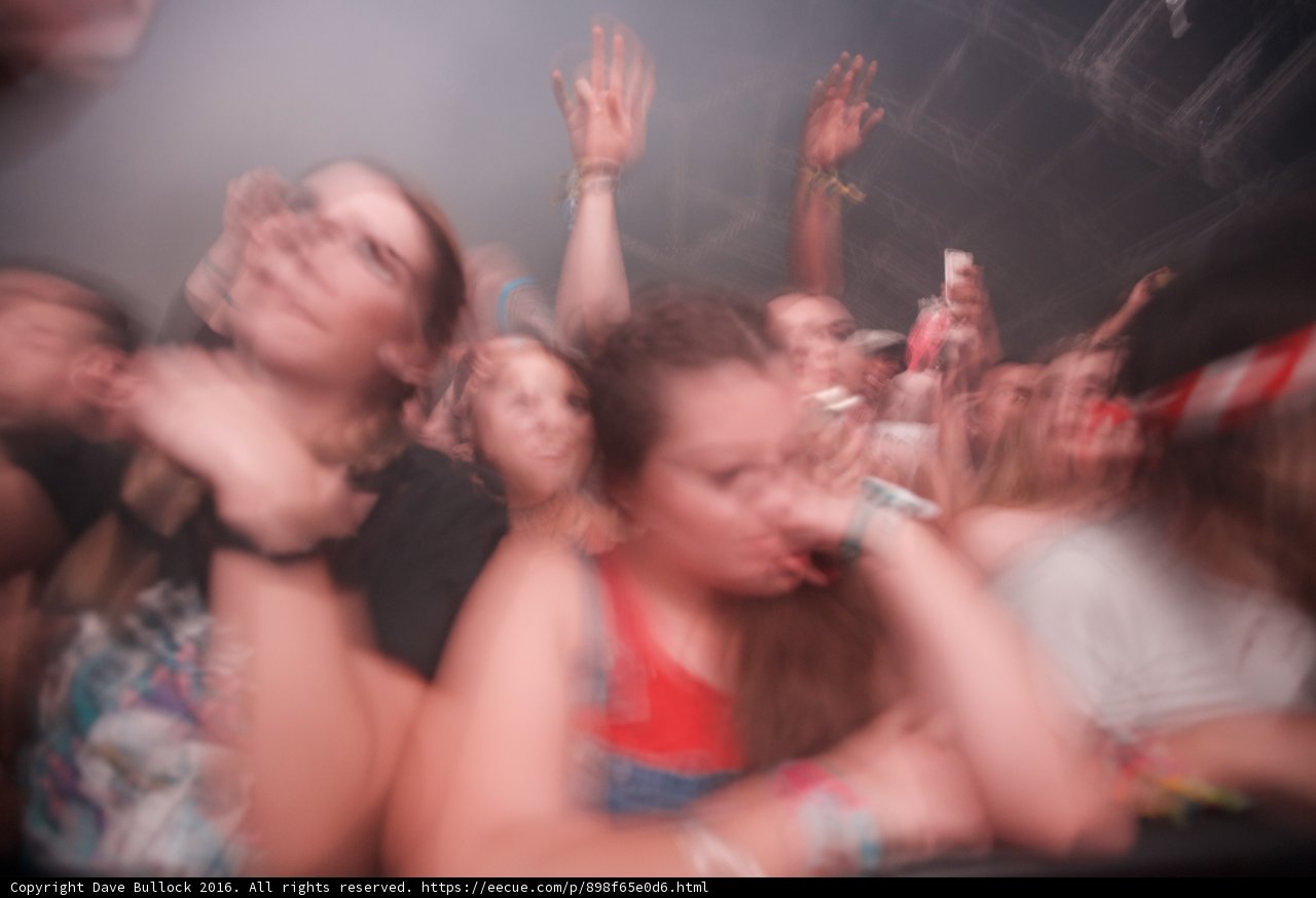 Coachella Crowd Goes Wild