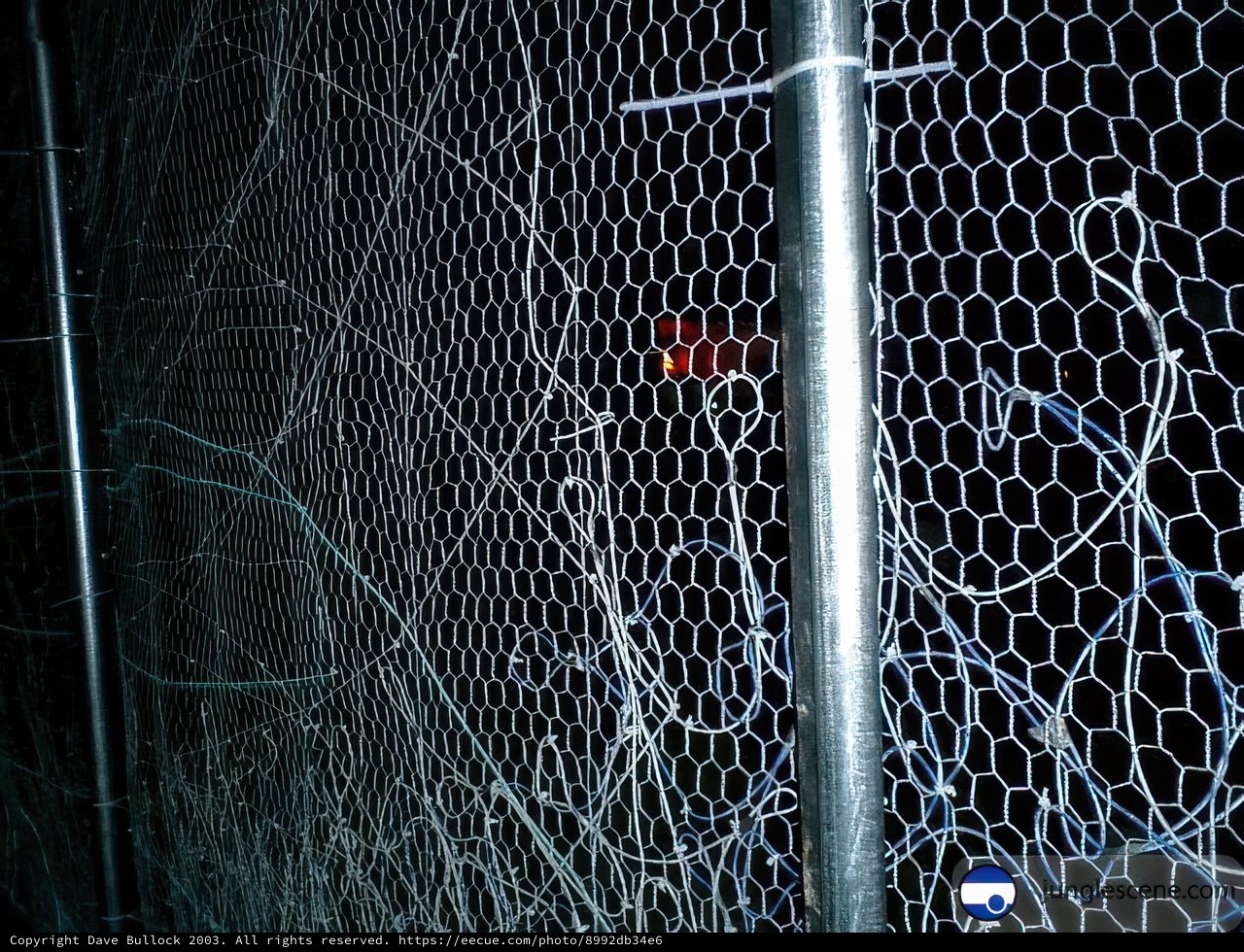 Barbed Wire Fence