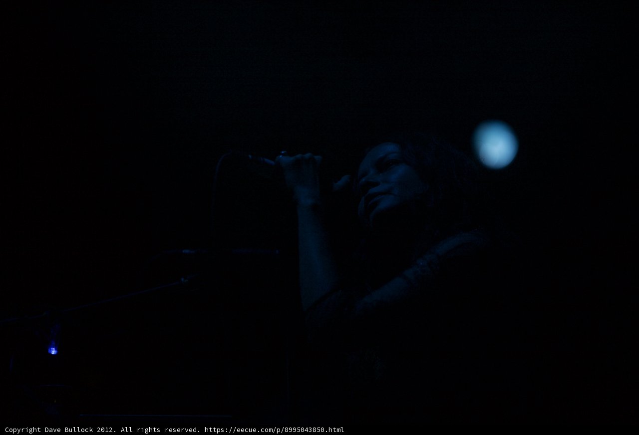 Moonlit Performance