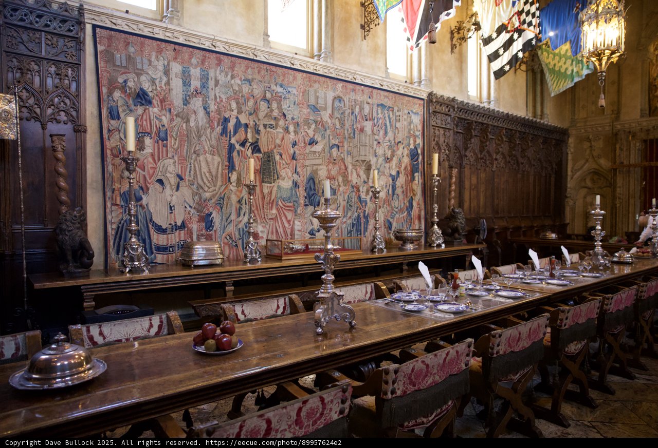 Majestic Elegance in the Dining Hall