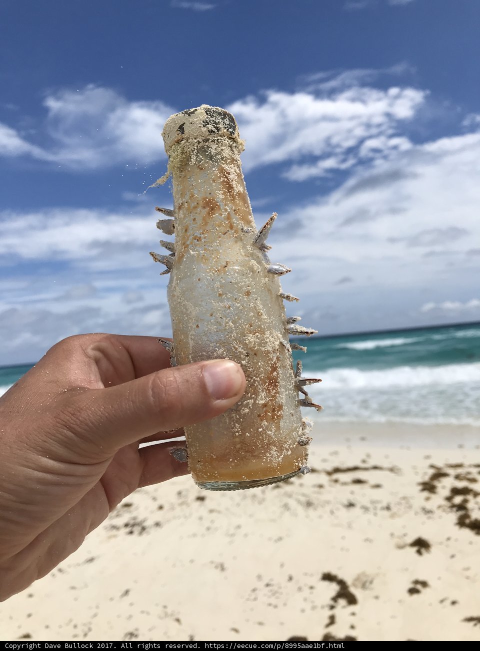 Beach Vibes