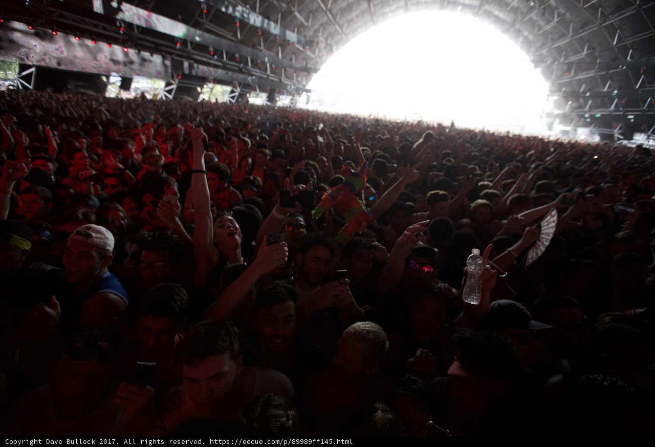 A Sea of Raised Hands at Coachella