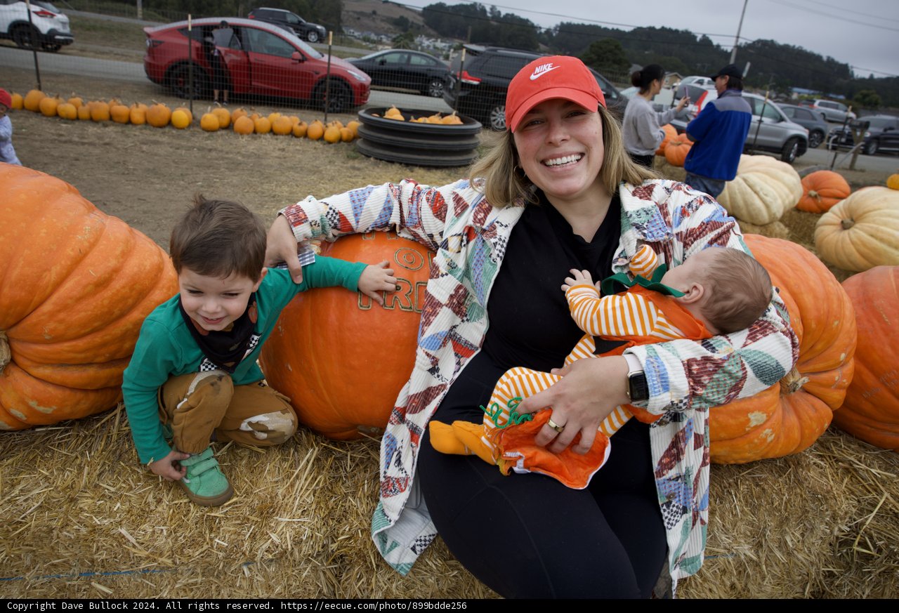 Harvest Smiles