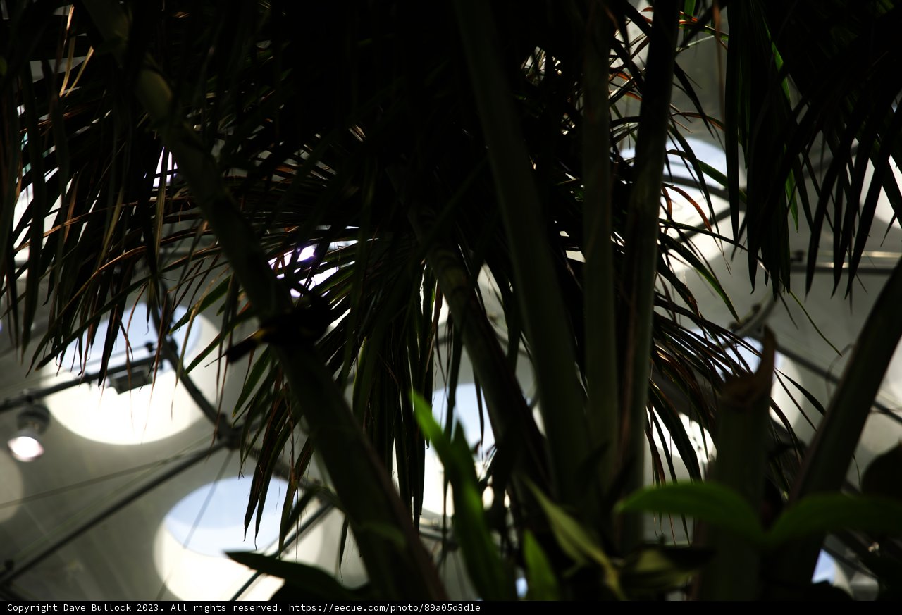 Blackbird's Tropical Hideaway