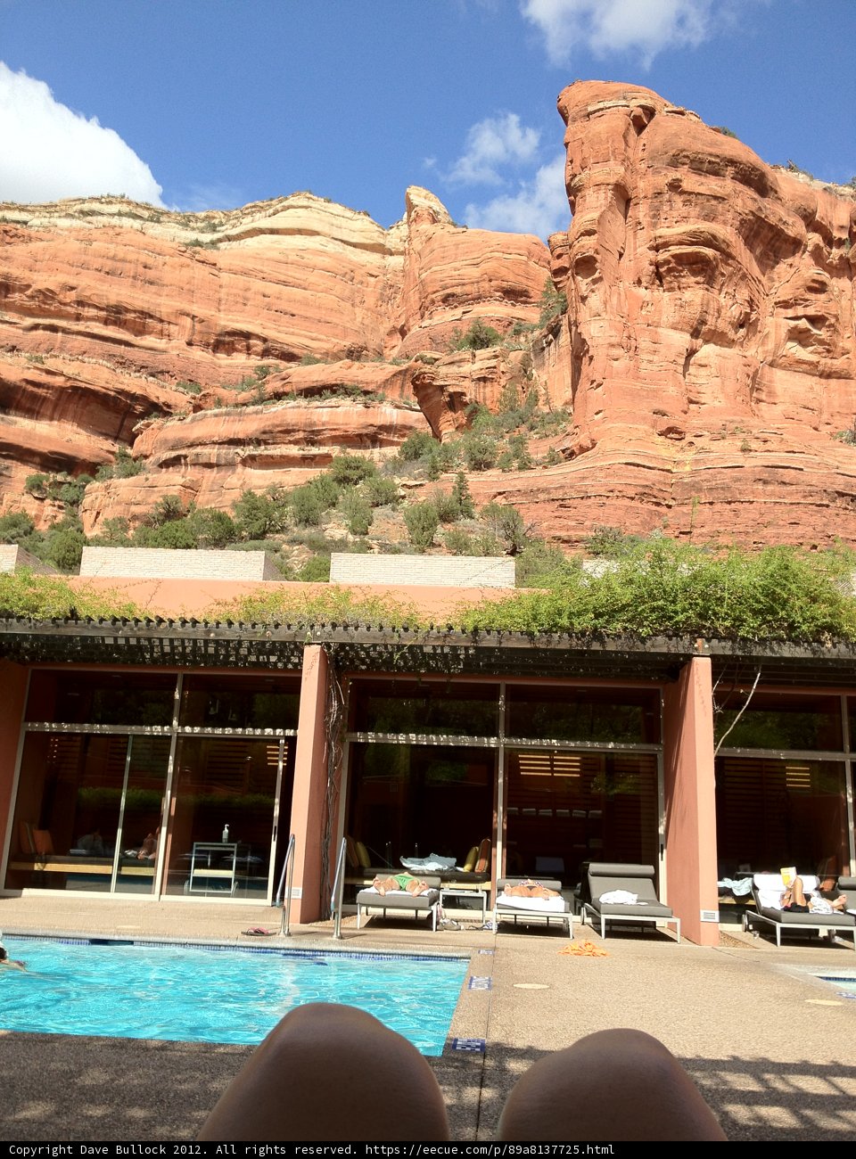Poolside Paradise