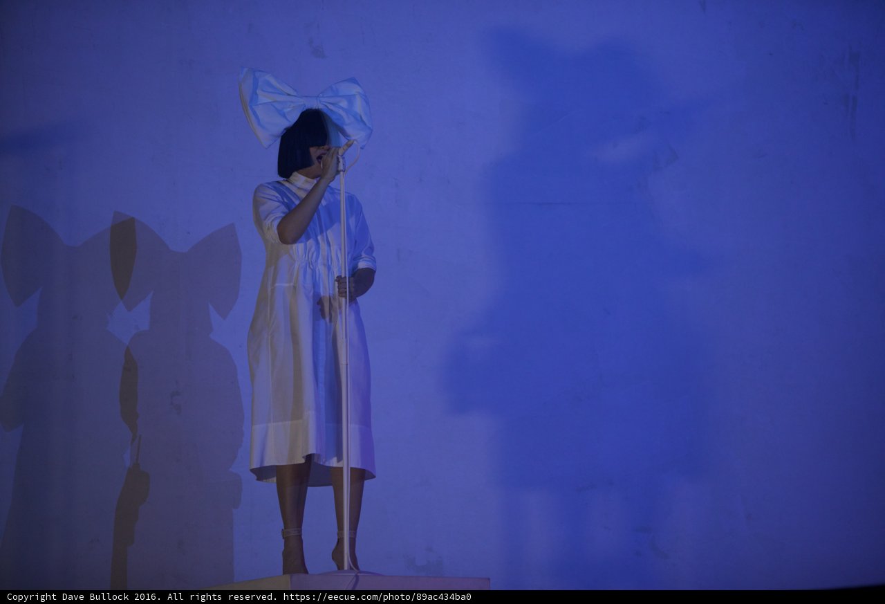 The Woman in Blue