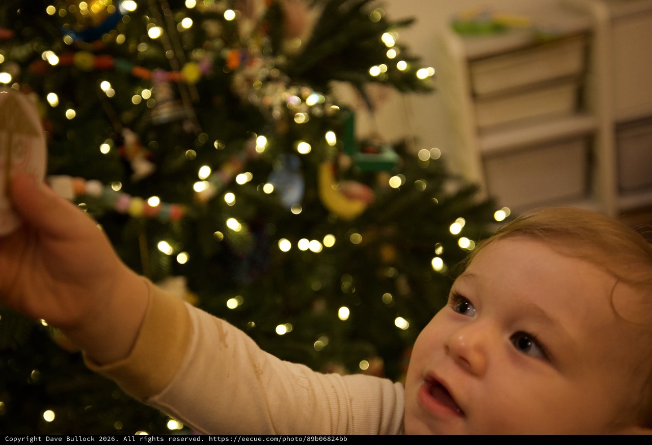 Baby's First Christmas Tree Wonder and Delight