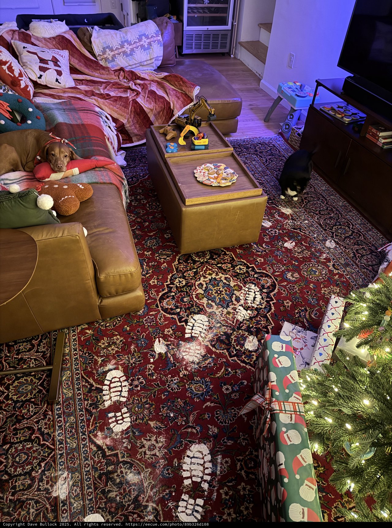 Cozy Christmas Morning with Dogs at Home