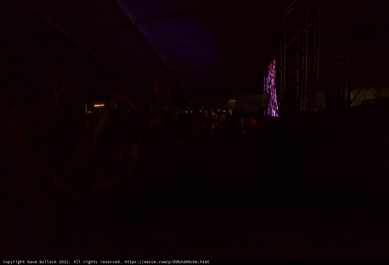 A Sea of Hands in the Night
