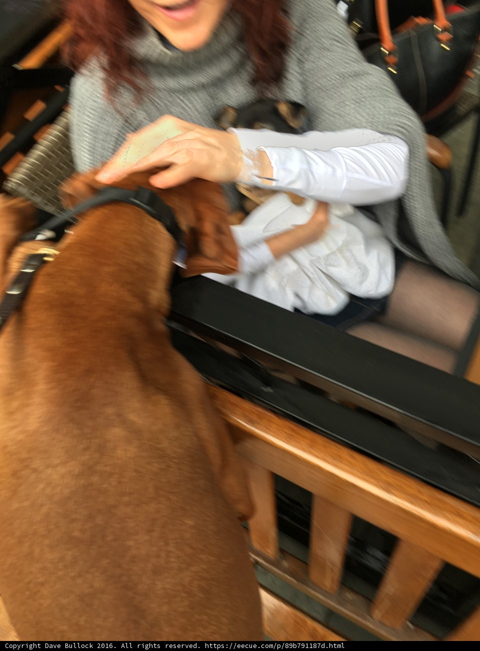 Woman and Her Furry Companion