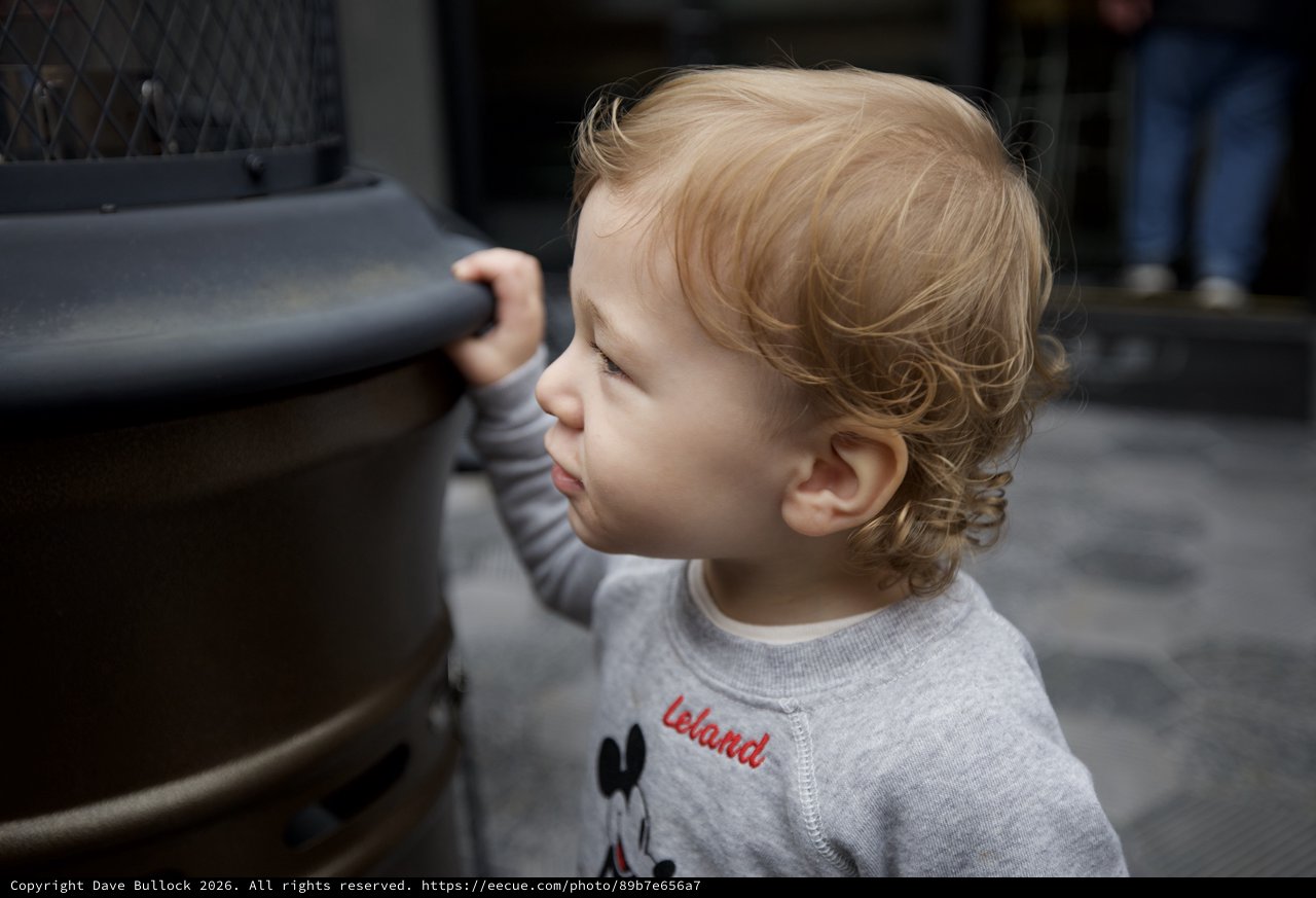 Young Child Observing the World with Curiosity