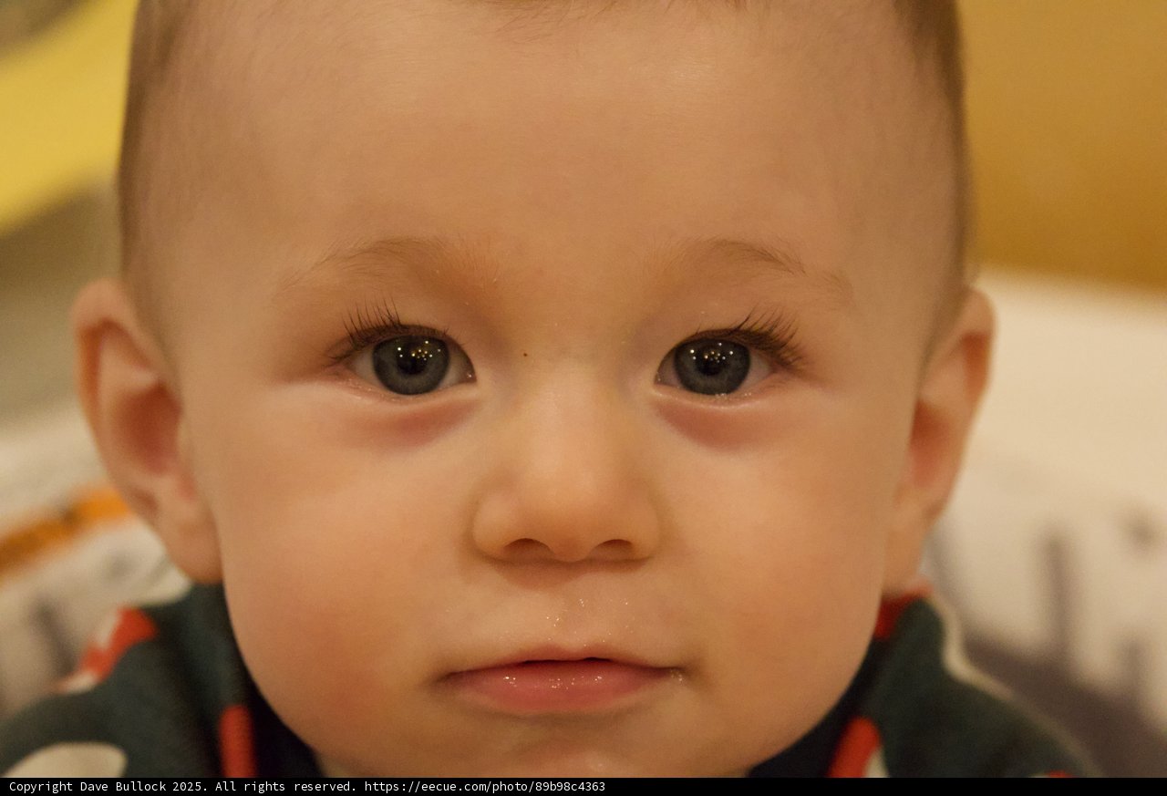 Innocent Wonder