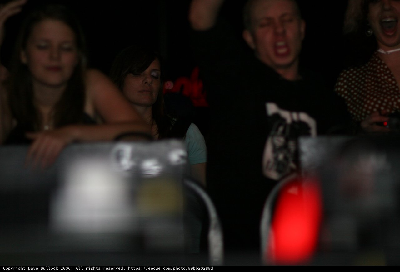 Lost in the Music: Concert Crowd in Dim Light