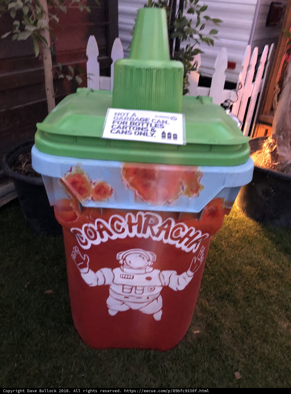 Container for a Cleaner Land