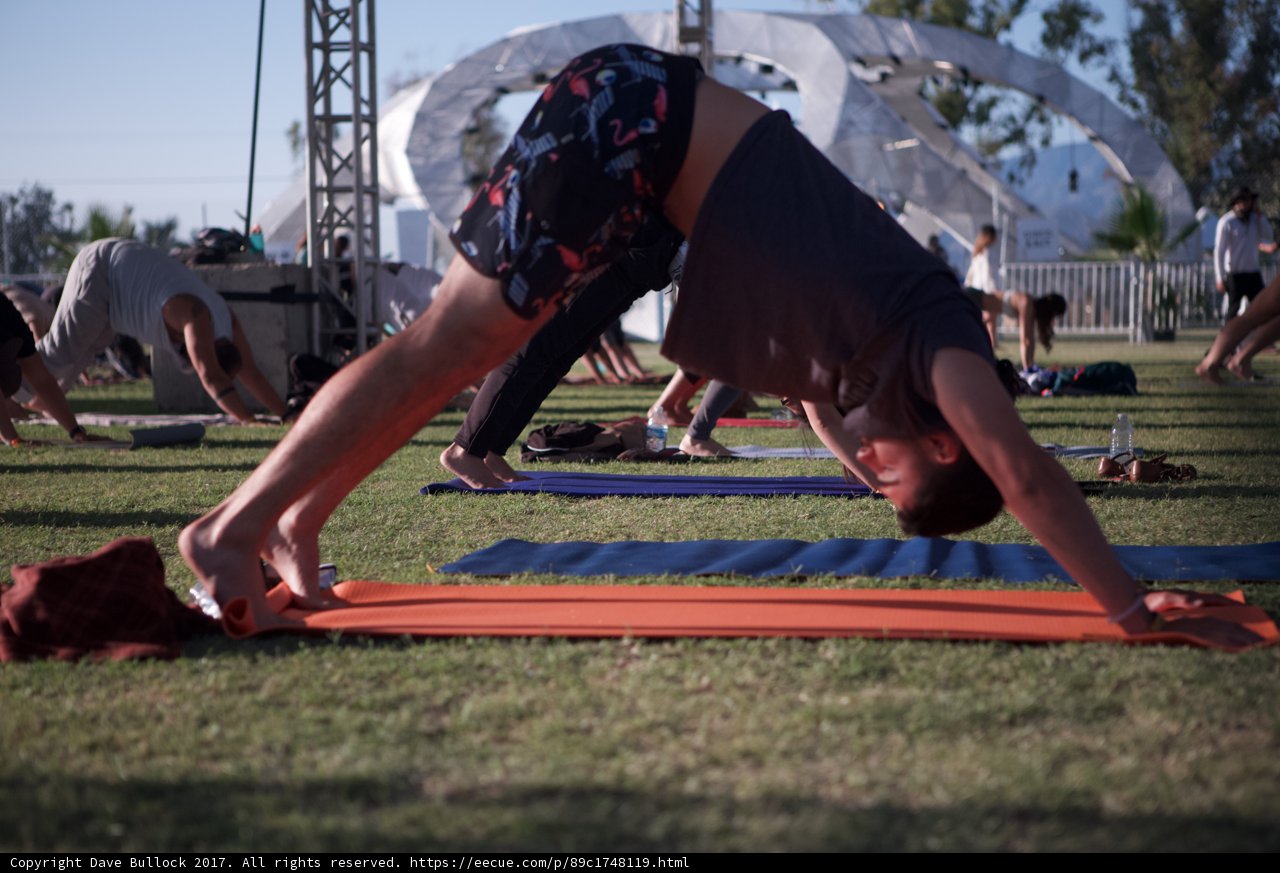 Downward Dog Yoga in the Grass