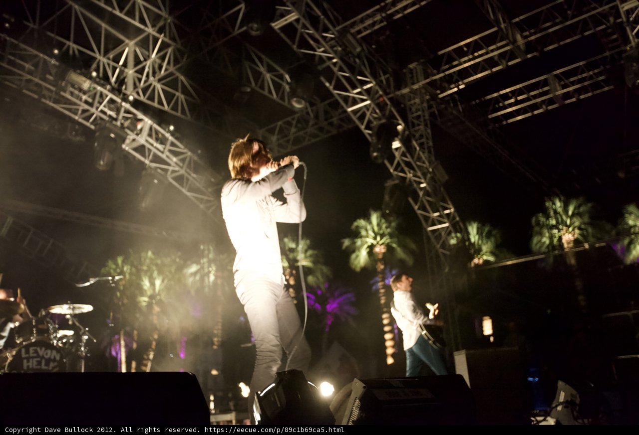 Rocking Out Under the Palm Trees
