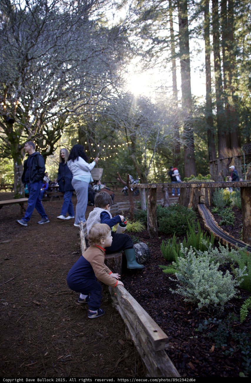 Autumn Adventures at Thistlewyck