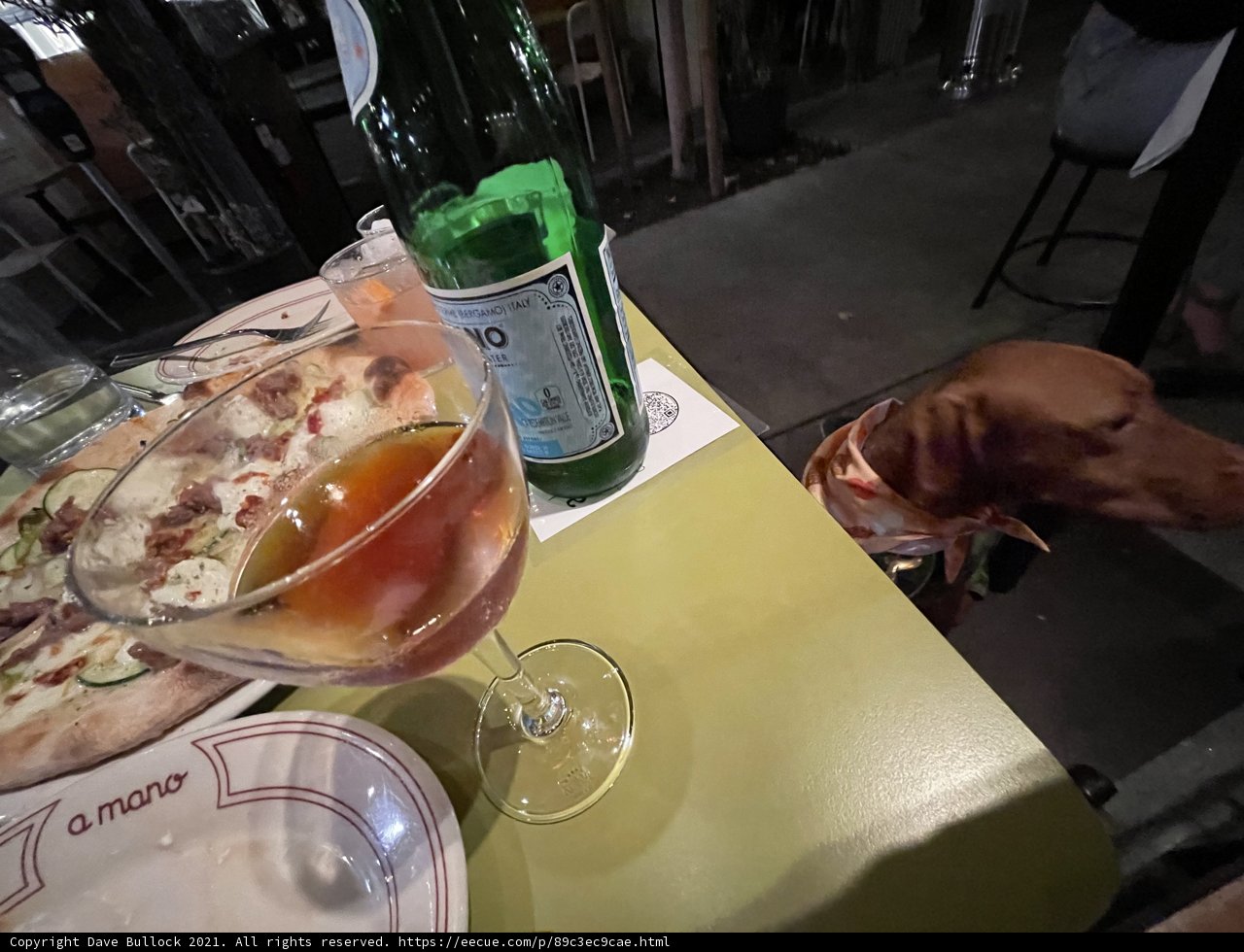 A Dog's Night Out