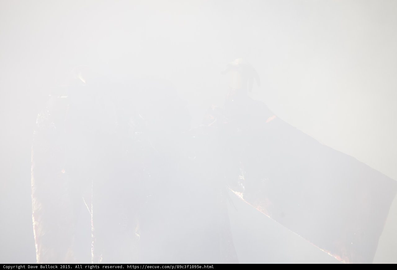 FKA twigs Abstract Extremely Heavy White Haze Figure Barely Visible Red Brocade Kimono Impressionistic Ethereal