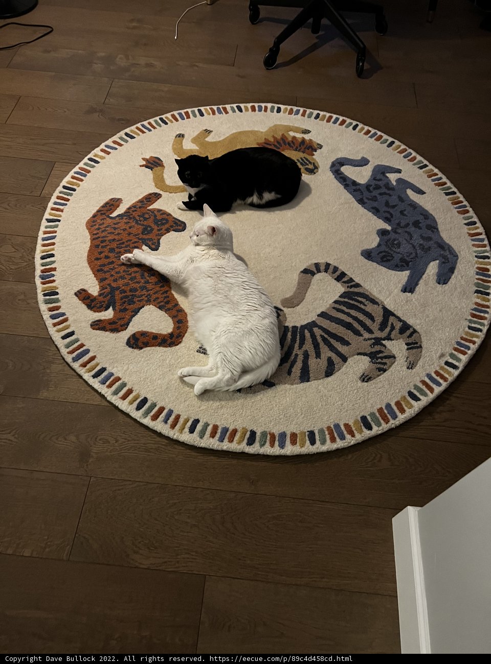 Feline & Fido's Cozy Rug Rest