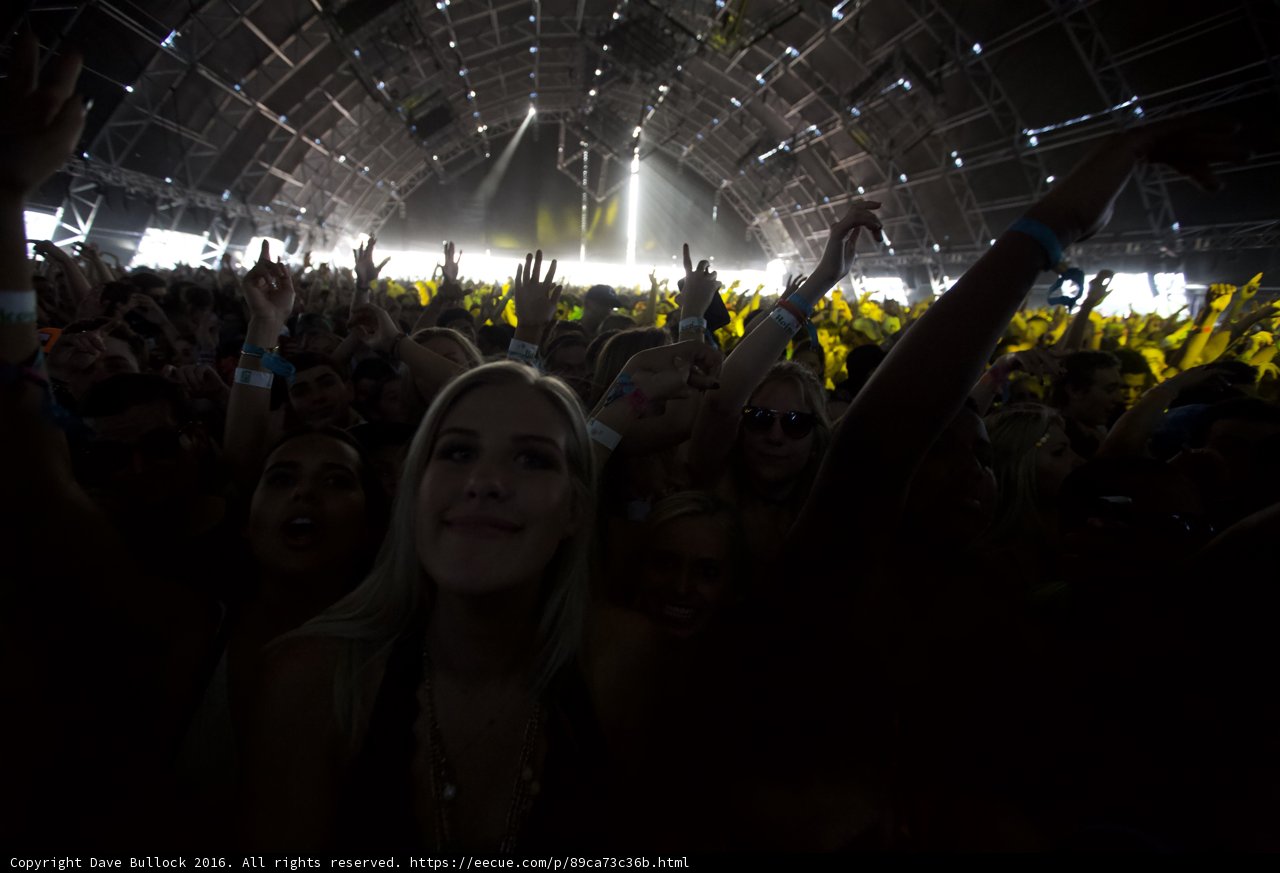 Hands Up at Coachella