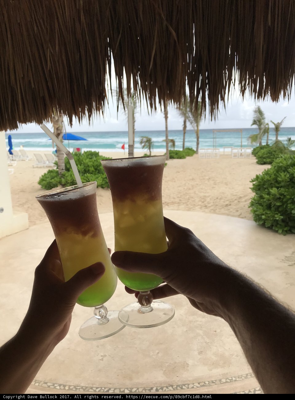 Beach Sips
