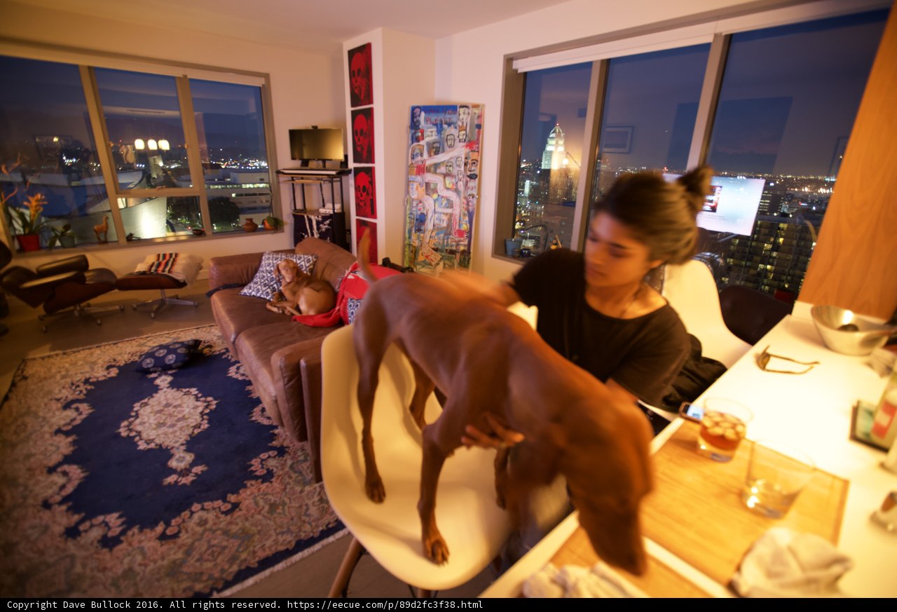 Relaxing in the Living Room