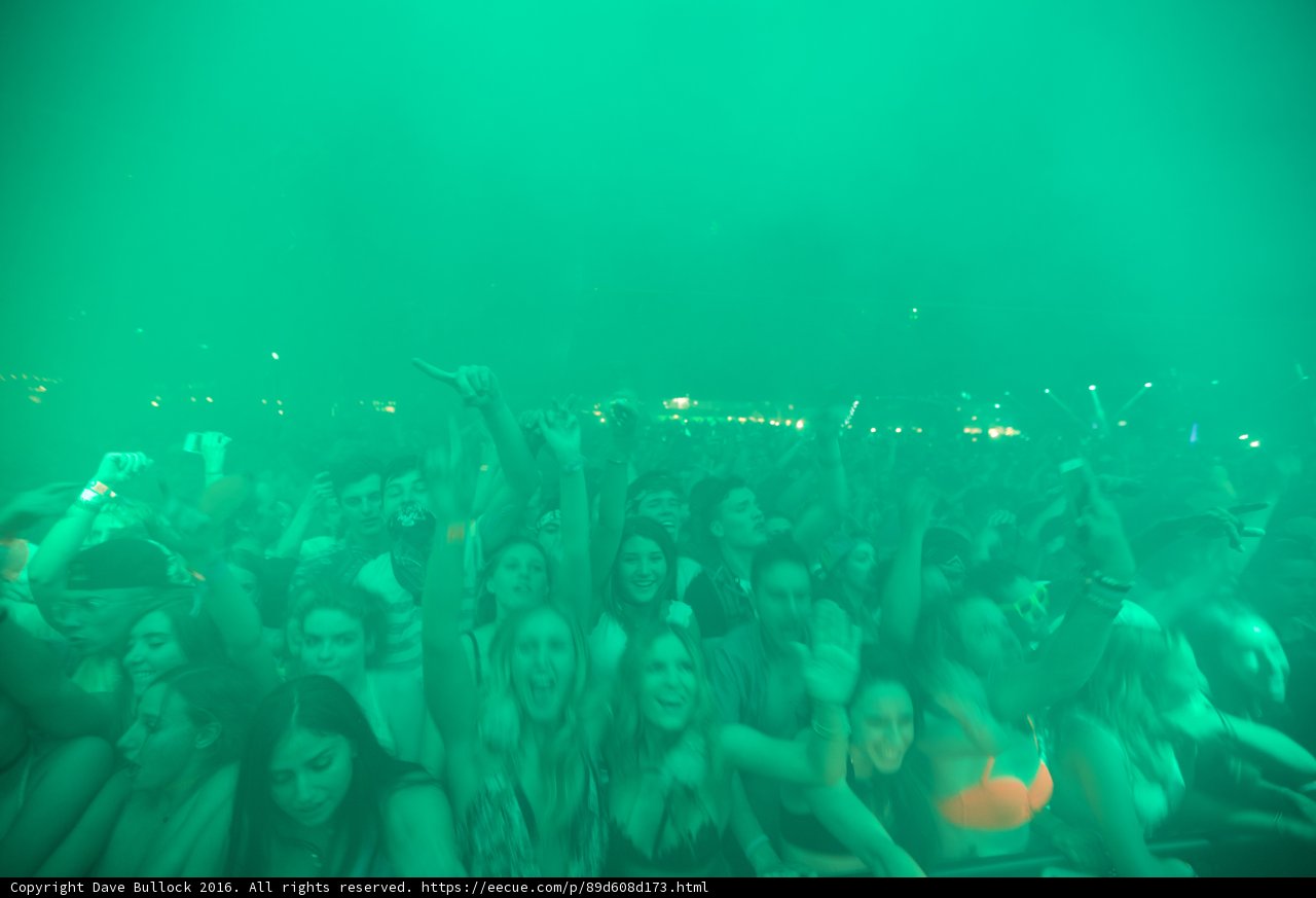 Lost in the Fog