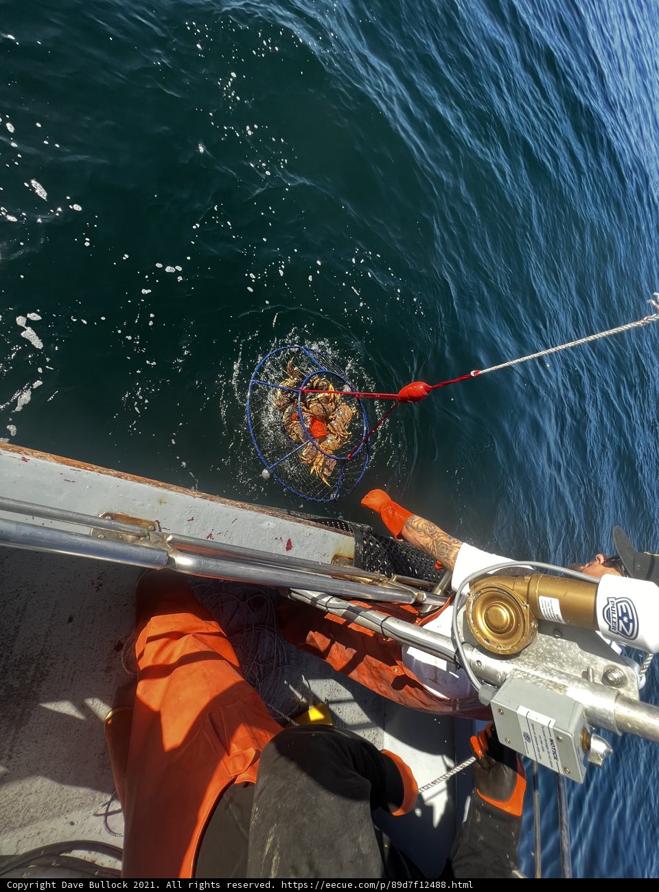 Fishing for Halibut in the Gulf