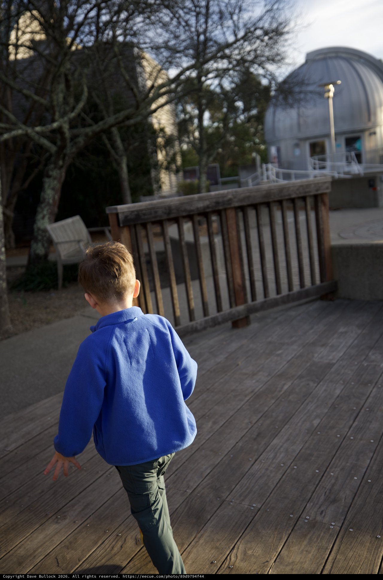 Young Boy Exploring Wooden Deck at Observatory