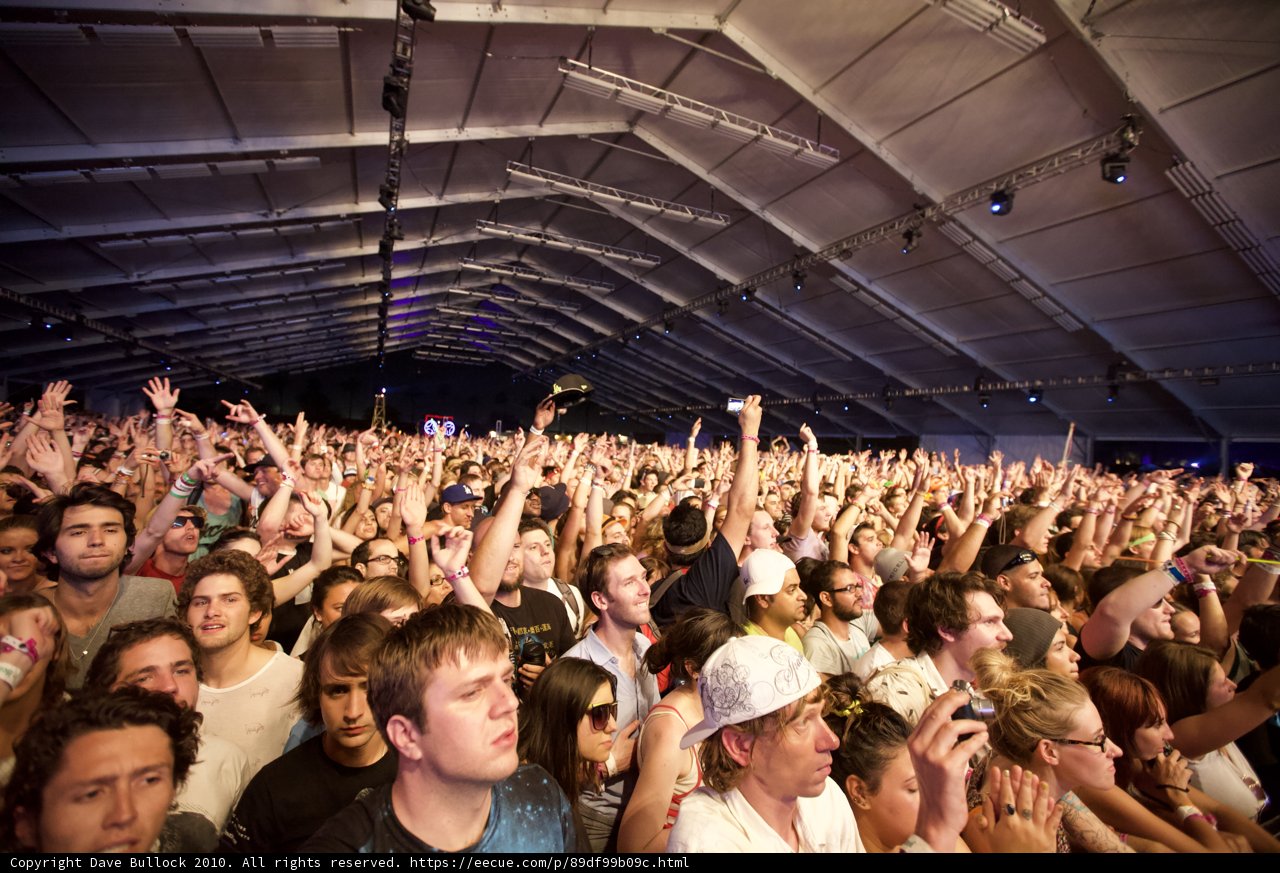 Coachella Crowd Goes Wild