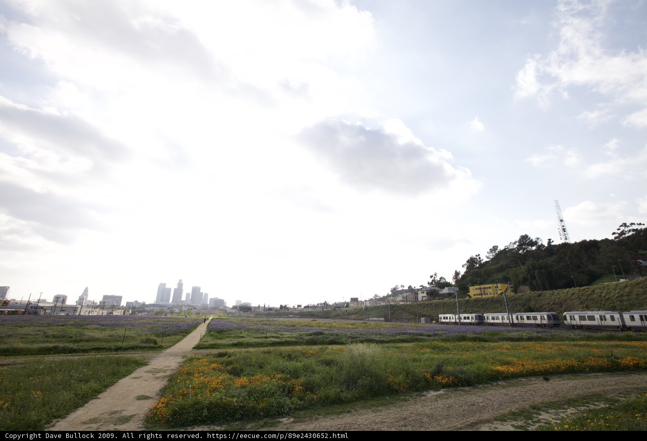 Train Passing through a Scenic Field