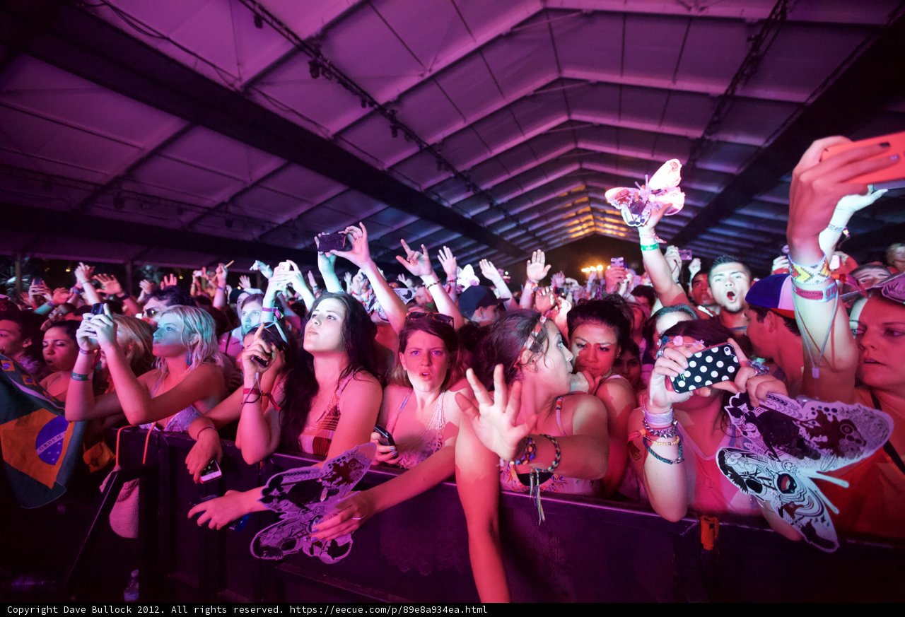 Partygoers at Coachella Music Festival