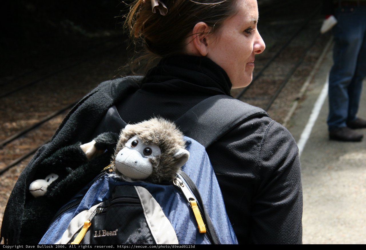 Stuffed Monkey Peeks Out from Traveler's Backpack