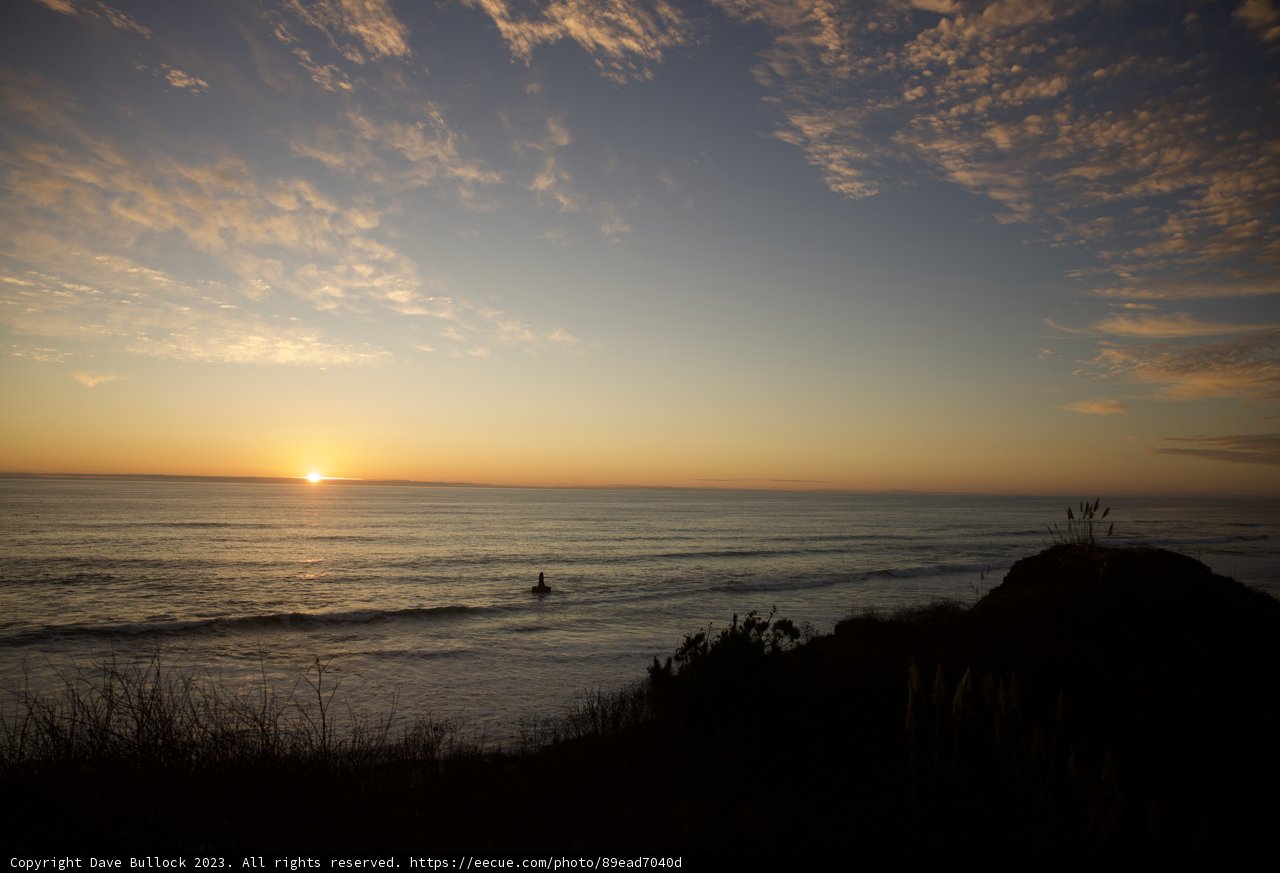 Shadows and Sunsets: A Halfmoon Bay Soirée