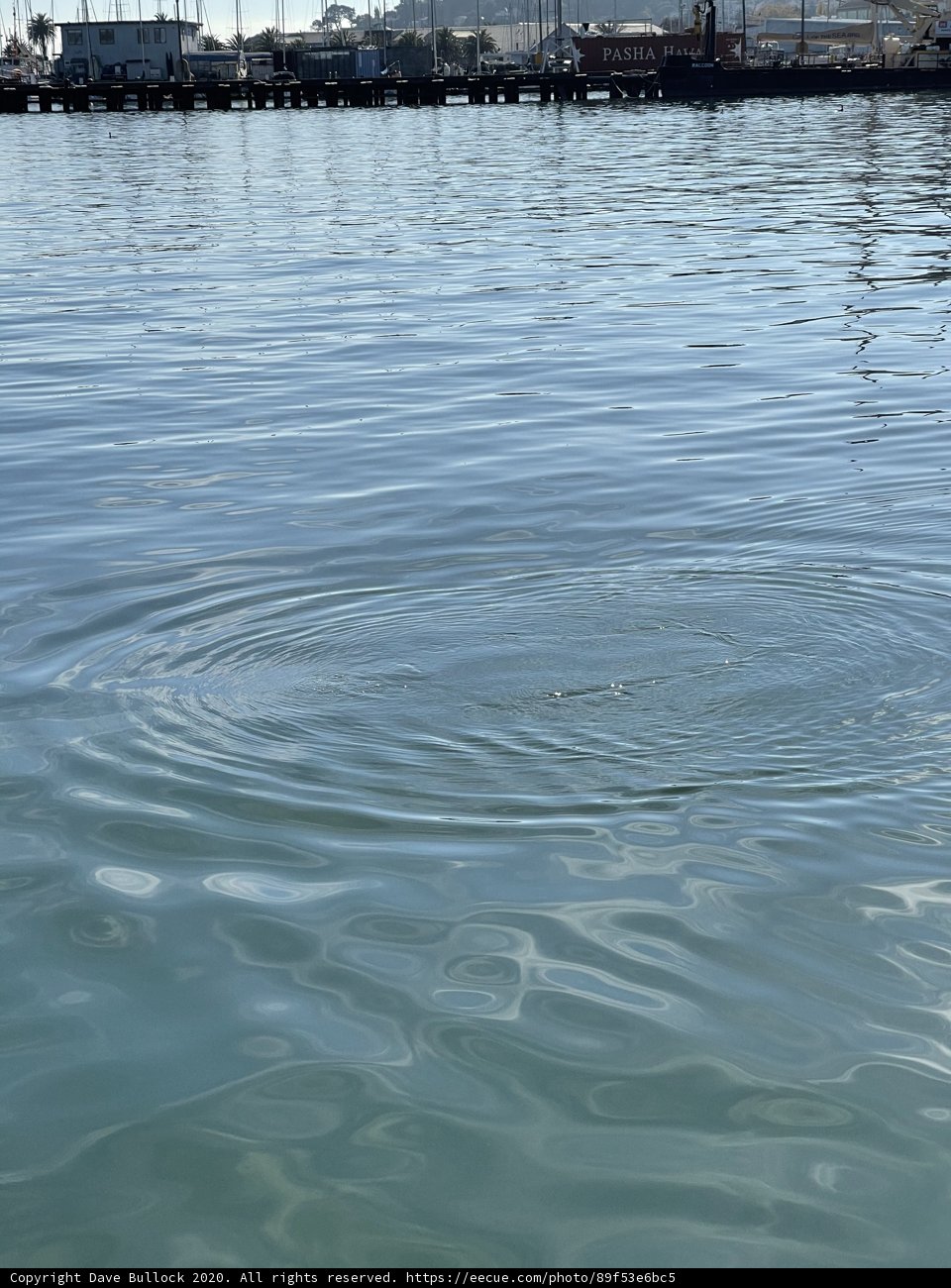 Aerial View of Rippley Waters in Richardson Bay