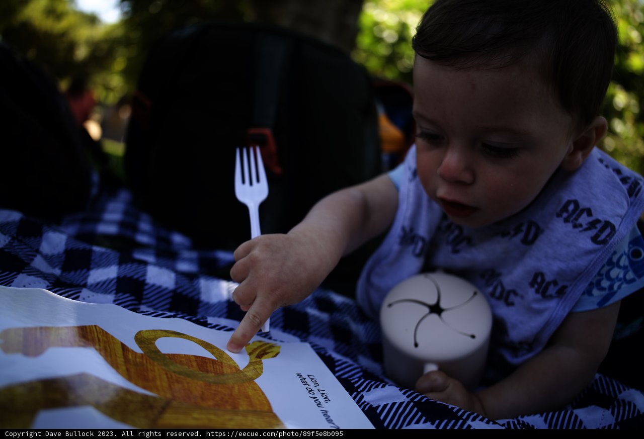 Picnic Prodigy: Unscripted Moments Captured