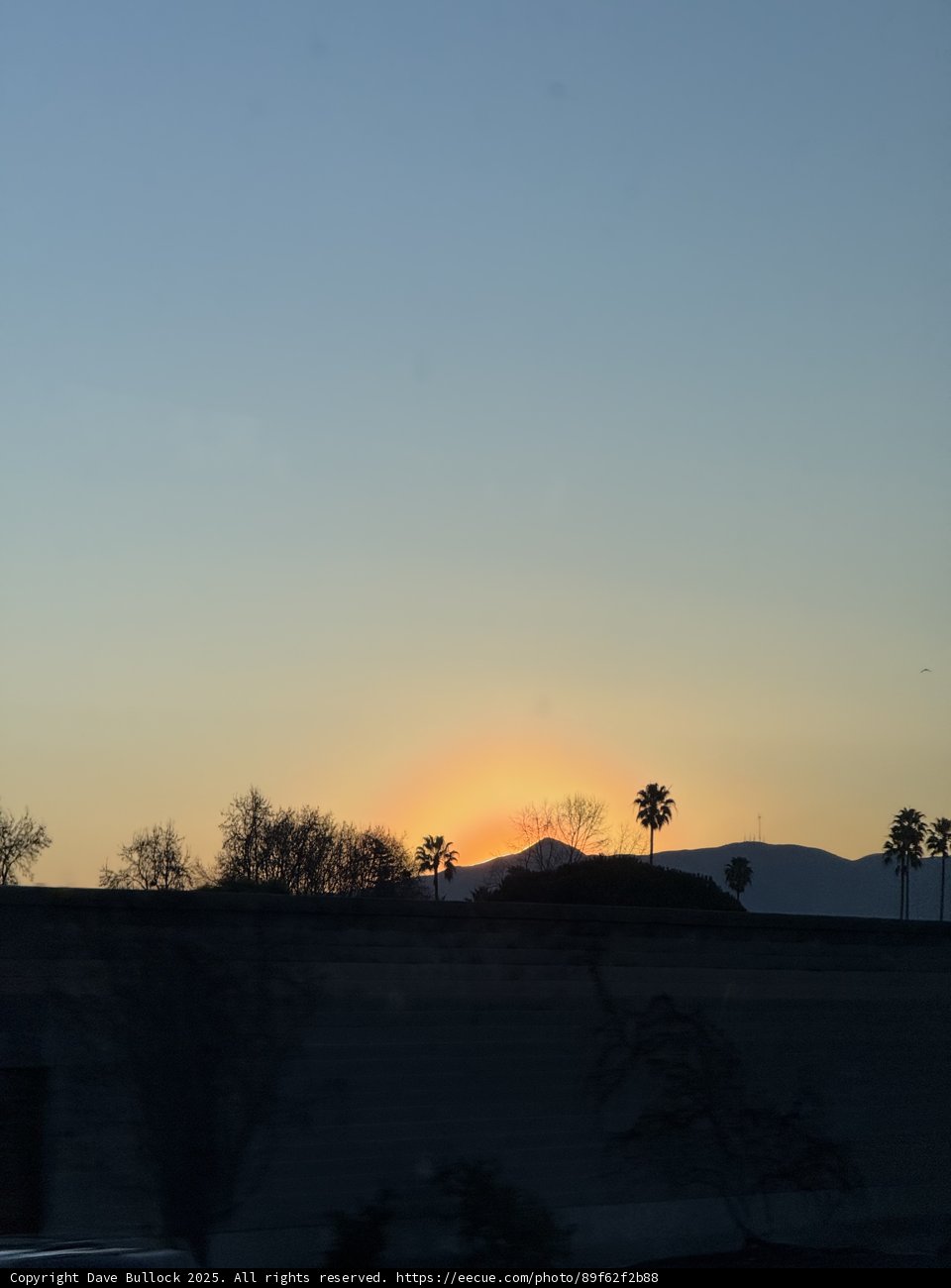 Union City Dawn