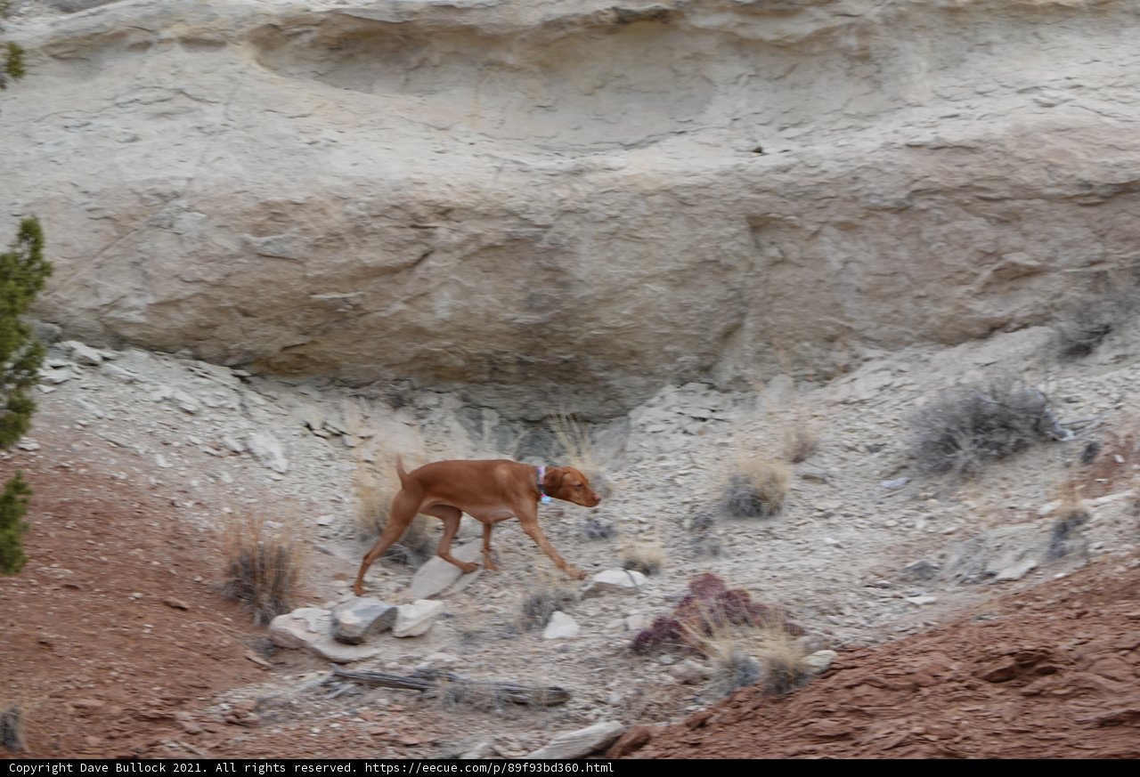 Rocky Adventure