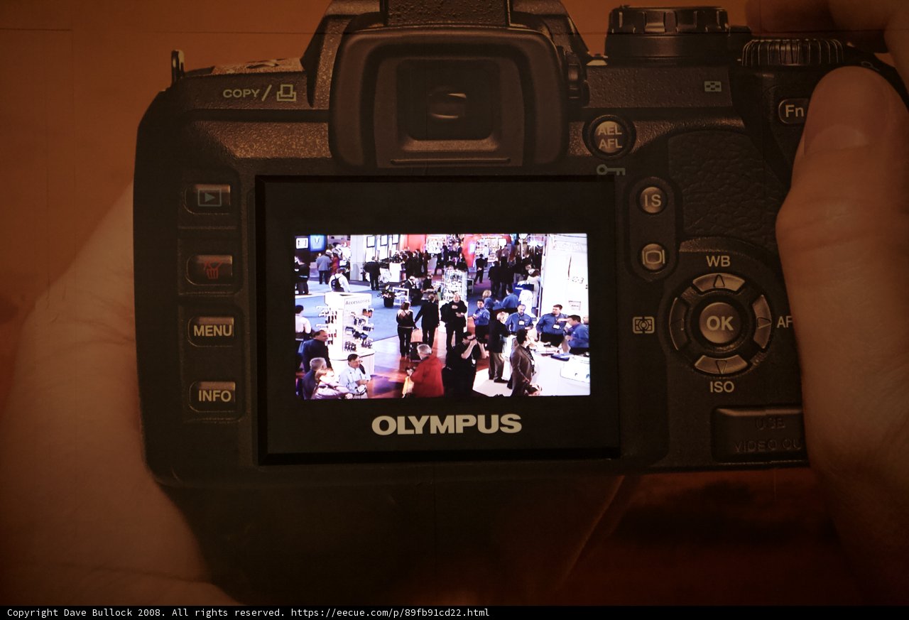 Capturing the Crowd