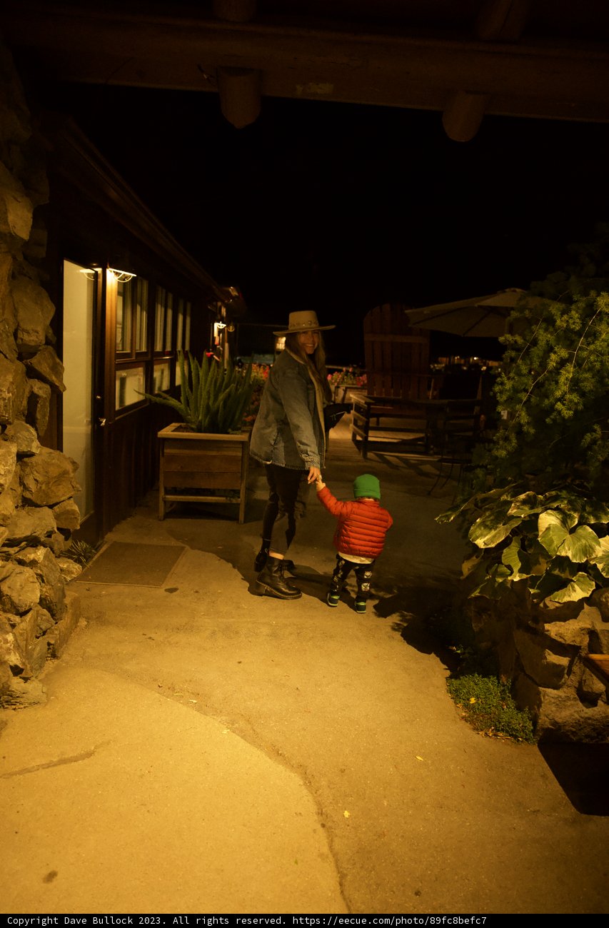 A Nighttime Journey in Big Sur