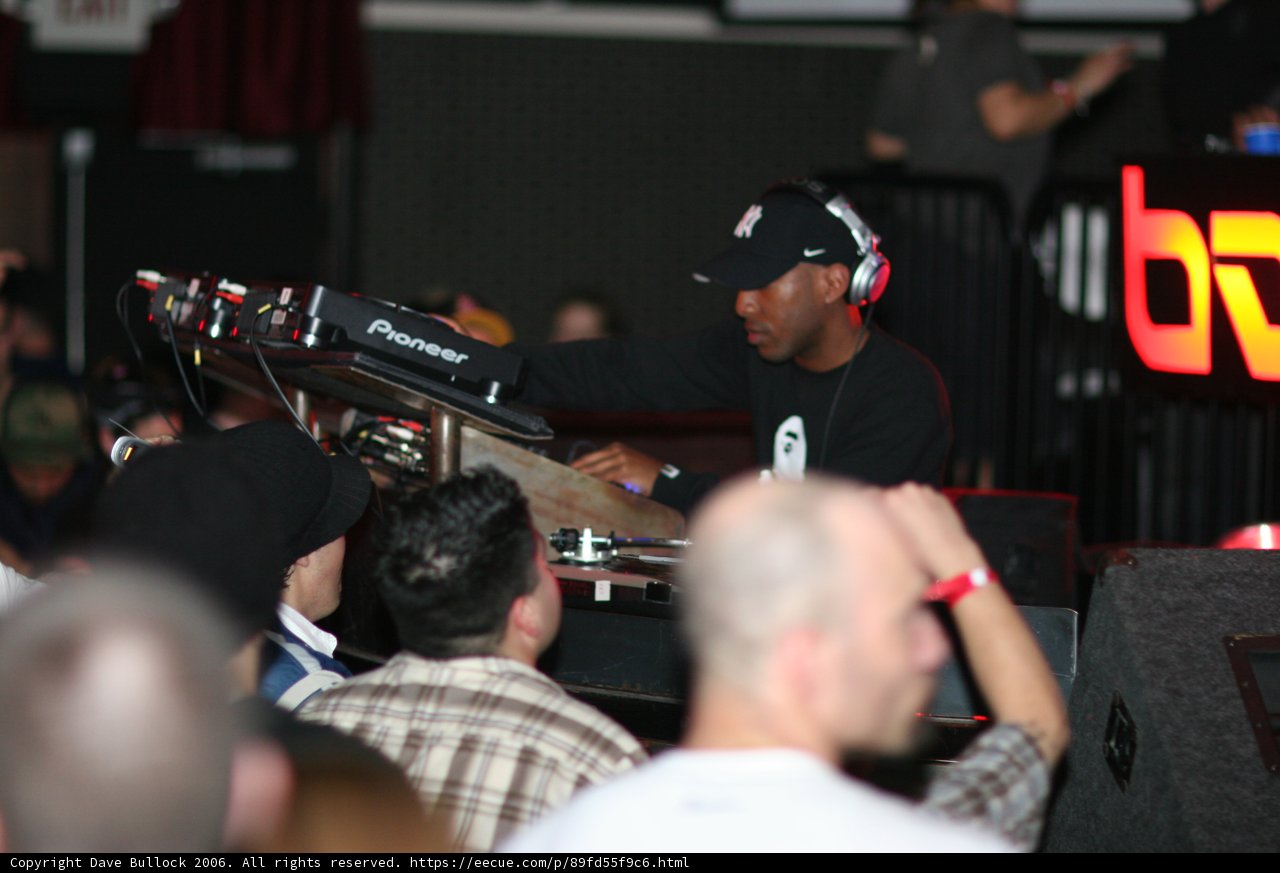 Musical Entertainer in Action