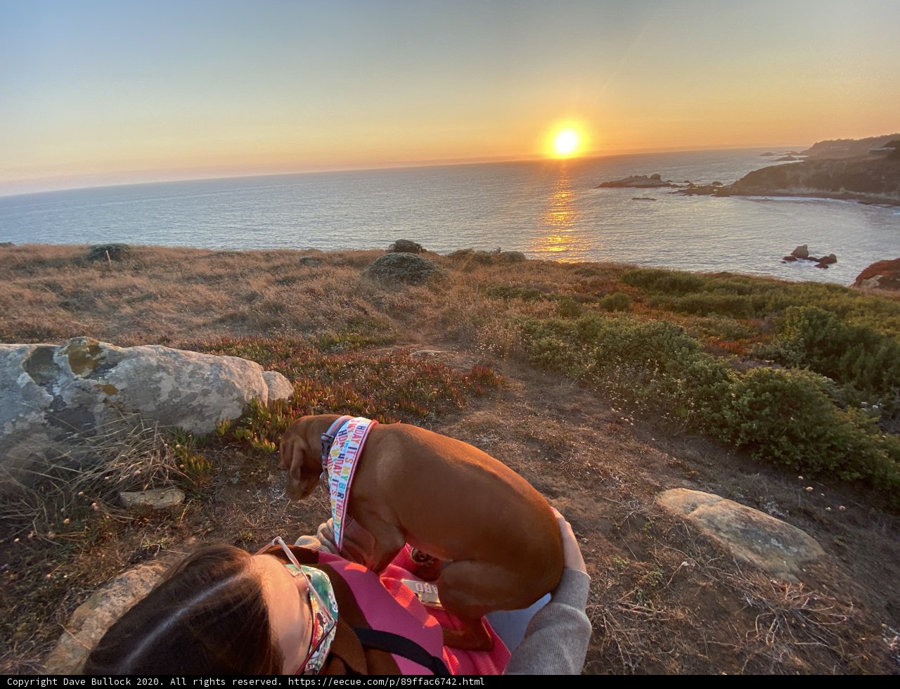 Watching the Sunset with My Best Friend