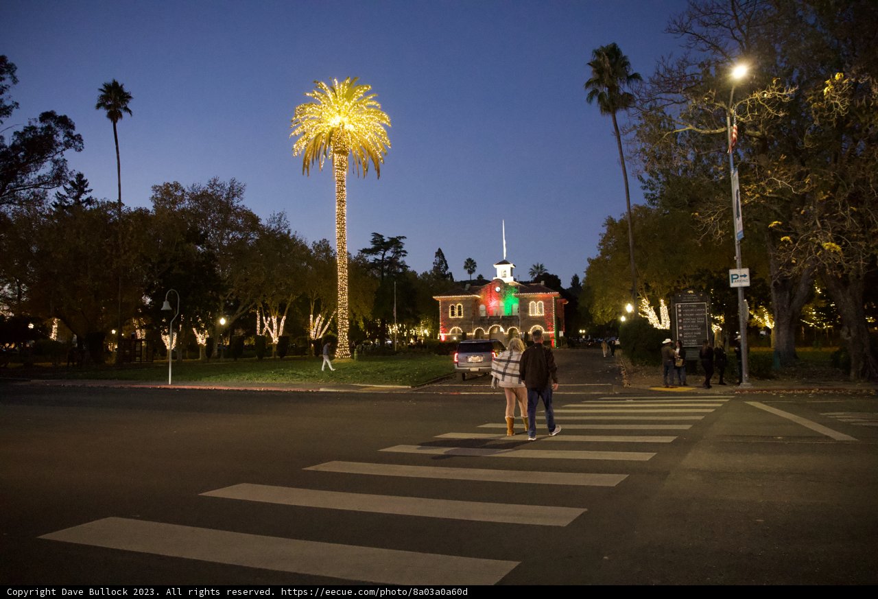 Night Walk in Downtown Sonoma, 2023