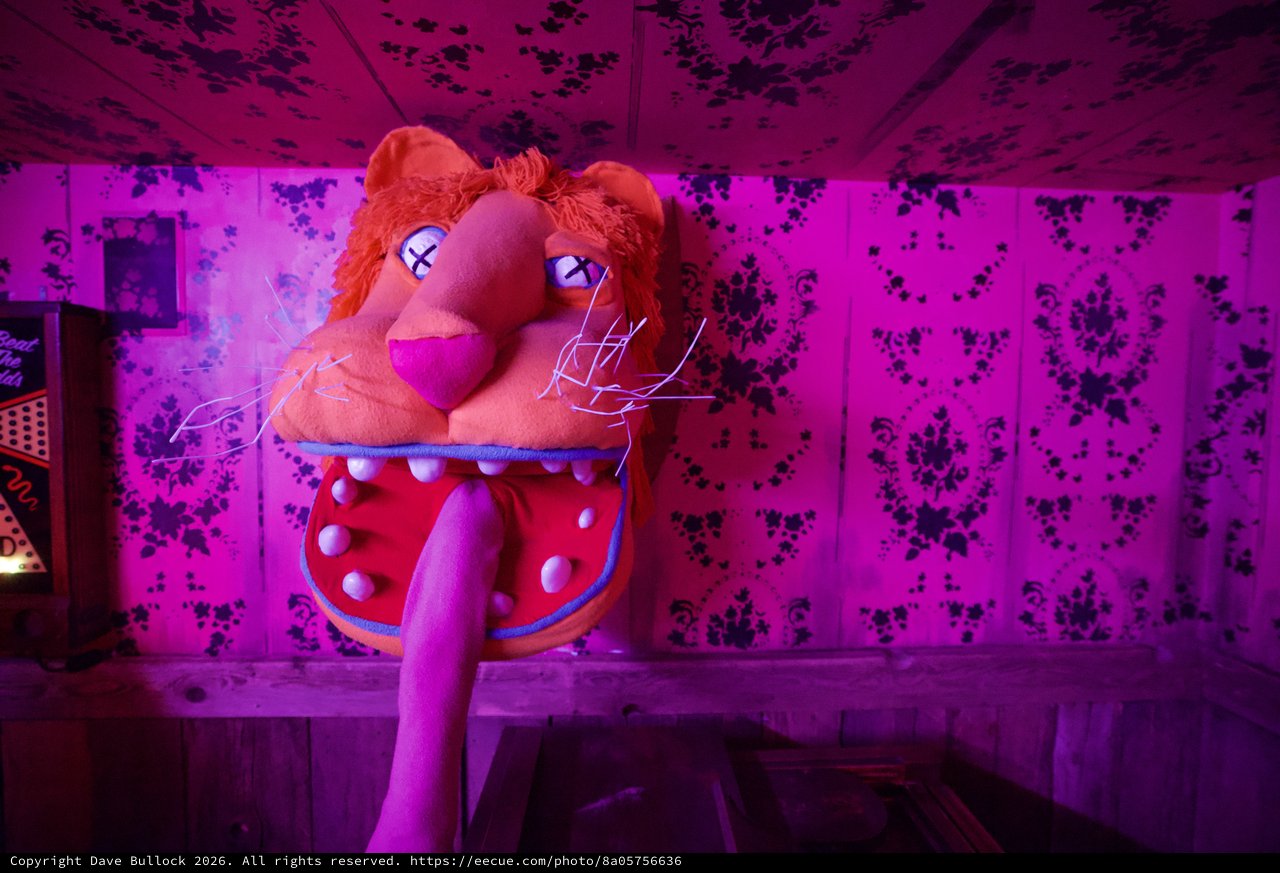 Surreal Plush Lion in Neon-Lit Decaying Interior