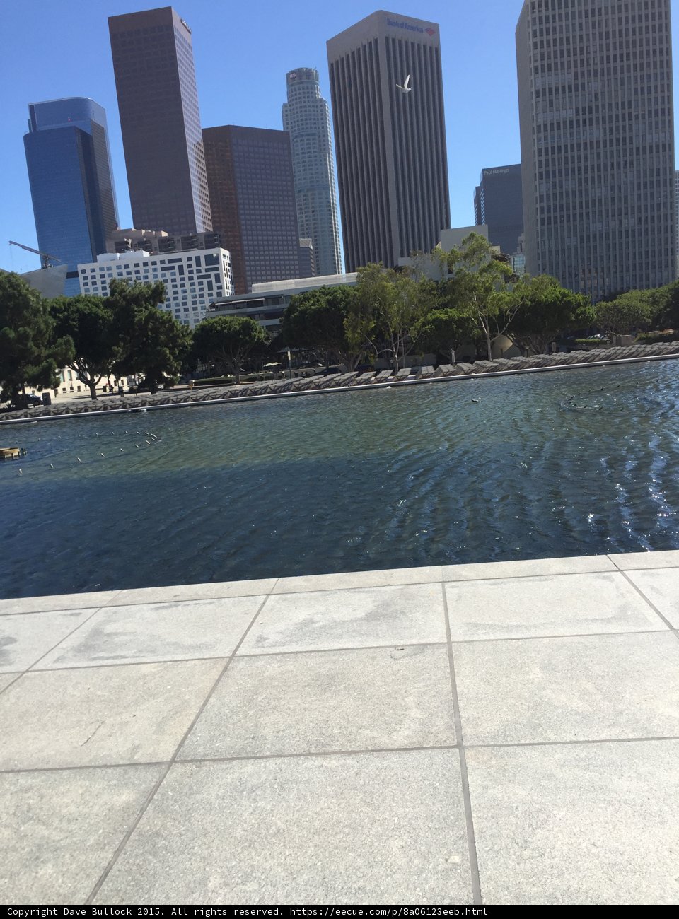 Downtown Skyline Reflection
